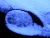 DSCN1904.JPG