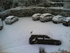 20100109(001).jpg