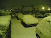 20100109(004).jpg