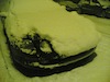 20100109(006).jpg