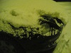20100109(007).jpg