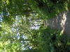 HPIM0107.JPG