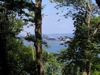 HPIM0108.JPG