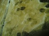 20100107(066).jpg