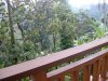DSCN1664.JPG