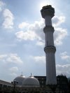 SNC11291.JPG