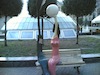 20090913(002).jpg