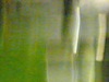 20090913(011).jpg